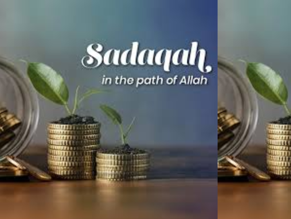 Small plants growing on coins representing Sadaqat in the path of Allah increases rewards and solidate community.