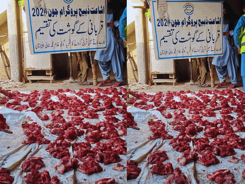 Zabiha was slaughtered and divided for distribution among the poor.