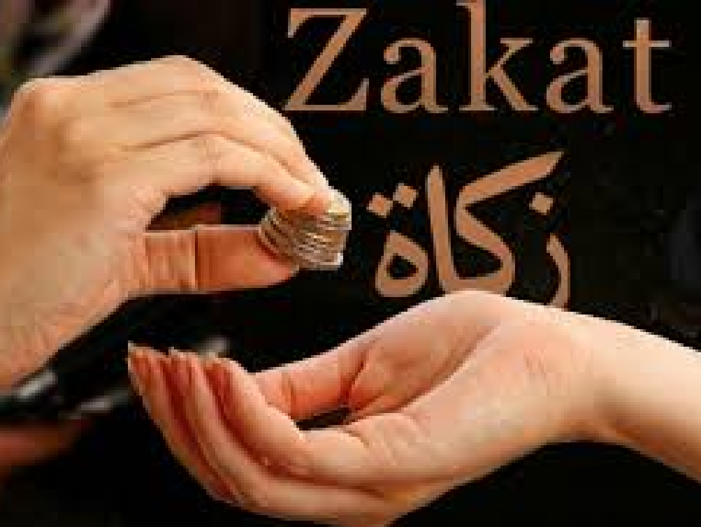 Charity handover representing Zakat support.