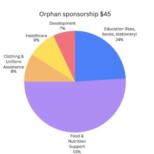 Pie chart breakdown of the cost of Pakistan orphan sponsorship.